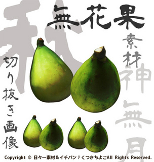 フリー素材 切り抜き画像 秋 無花果 サンプル画像