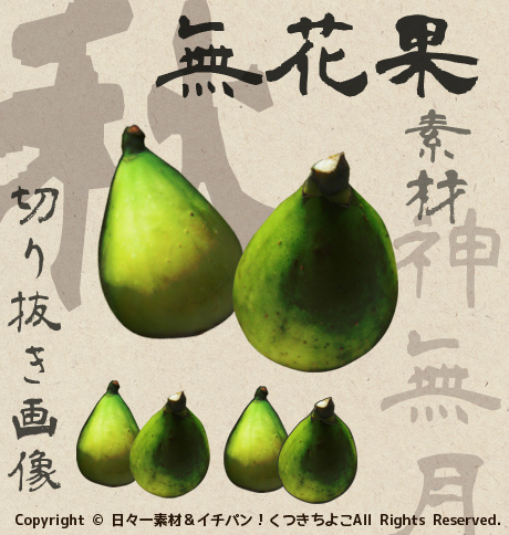 フリー素材 切り抜き画像 秋 無花果 サンプル画像