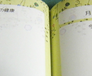 家計簿 日記・ダイエット・家計簿がこの一冊で!『SCRAP&RECORDING BOOK』(スクラップアンドレコーディングブック) サンプル画像