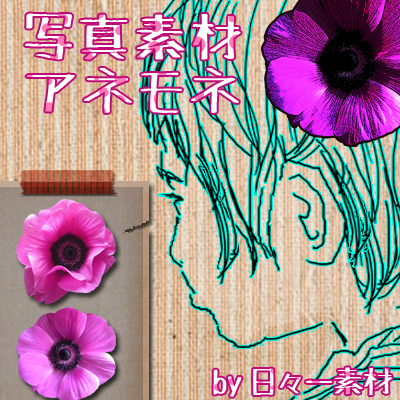 花 フラワーパーツ アネモネ 春 サンプル
