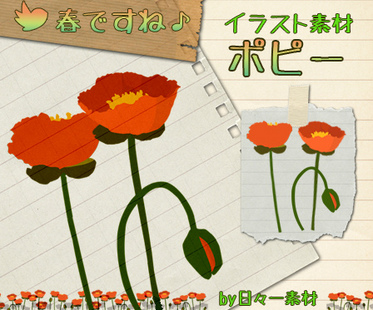 花素材 イラスト素材 ポピー サンプル