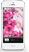 壁紙素材 iPhone iPod Android 花 写真 加工 ダウンロードボタン