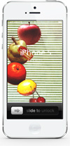 壁紙素材 iPhone iPod Android フルーツ 写真 加工 サンプル画像