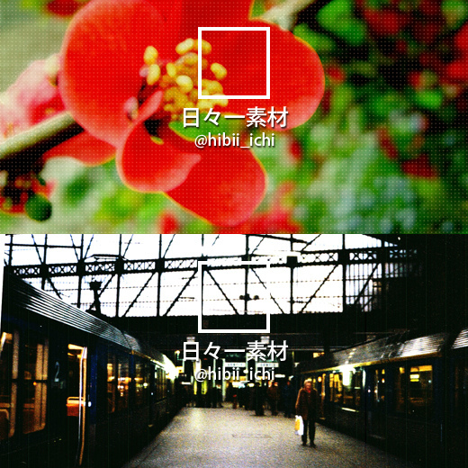 フリー写真素材 Twitter ヘッダー画像 アイコン 赤い花 サン・ラザール駅 サンプル画像