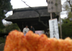 深大寺 お花見