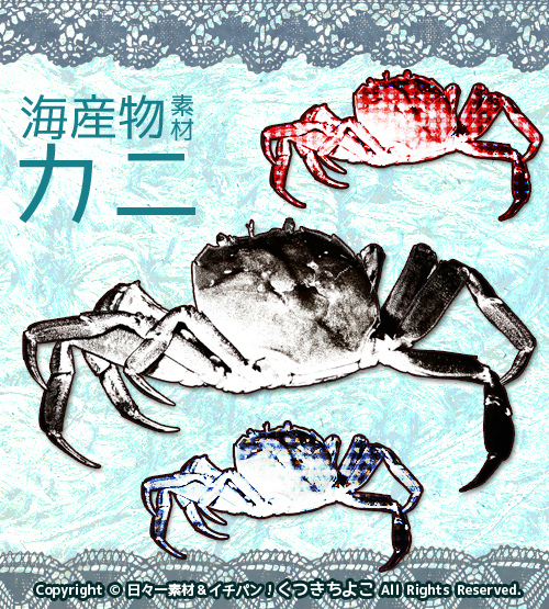 フリー素材　イラスト素材　海産物　蟹　カニ　ギンガムチェック　サンプル画像