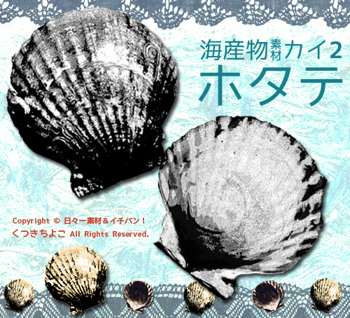 フリー素材　イラスト　貝　海産物　ホタテ　二枚貝　サンプル画像