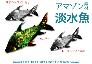 フリー素材 イラスト 淡水魚 アマゾンの魚 しましまの魚 サンプル画像