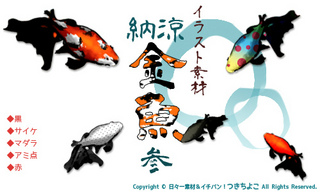 フリー素材 イラスト 金魚 納涼 サンプル画像
