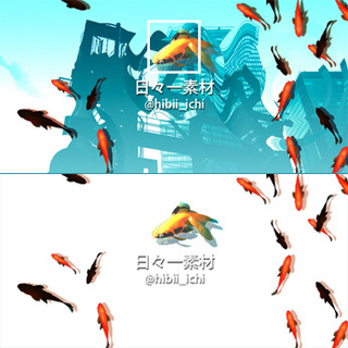 ツイッターヘッダー画像 納涼!金魚 サンプル画像