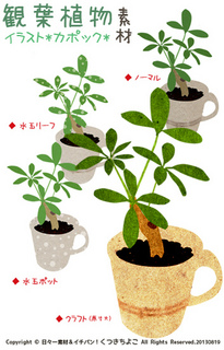 フリー素材 イラスト カポック 観葉植物 グリーン サンプル画像