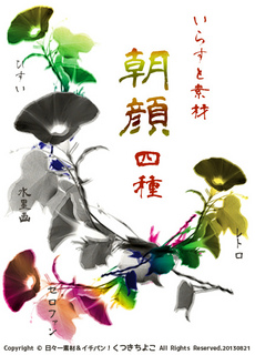 フリー素材 イラスト 花 朝顔 夏モチーフ サンプル画像