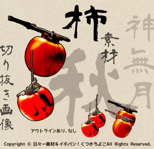 フリー素材 切り抜き画像 柿 季節 秋 サンプル画像