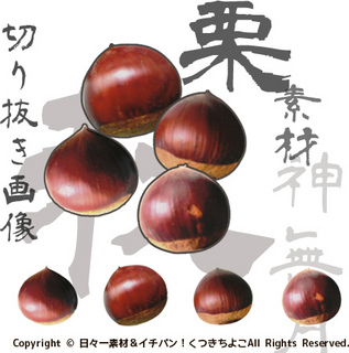 フリー素材 切抜き画像 秋 栗 サンプル画像