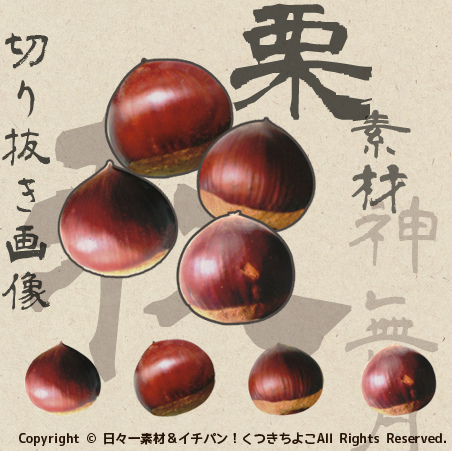 フリー素材 切抜き画像 秋 栗 サンプル画像