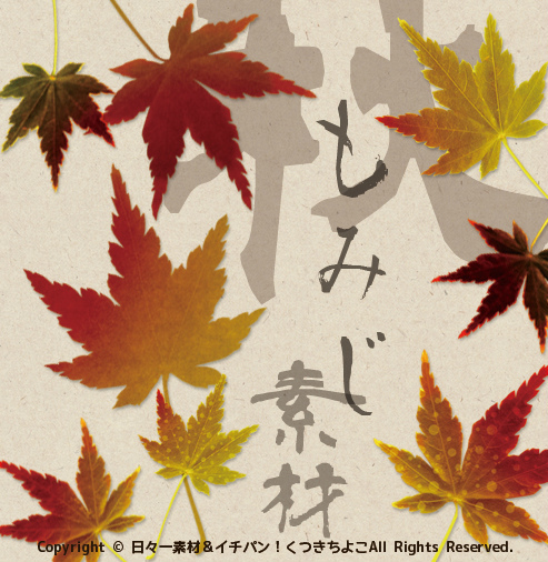 フリー素材 切抜き画像 写真 紅葉 もみじ サンプル画像