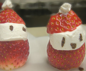 クリスマス サンタ 生クリーム いちご かわいい