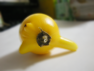 フォックスフェイス