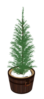 クリスマスツリー